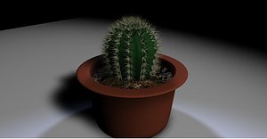 cactus c4d