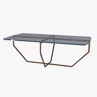 Galotti Radice Designer Coffee Table
