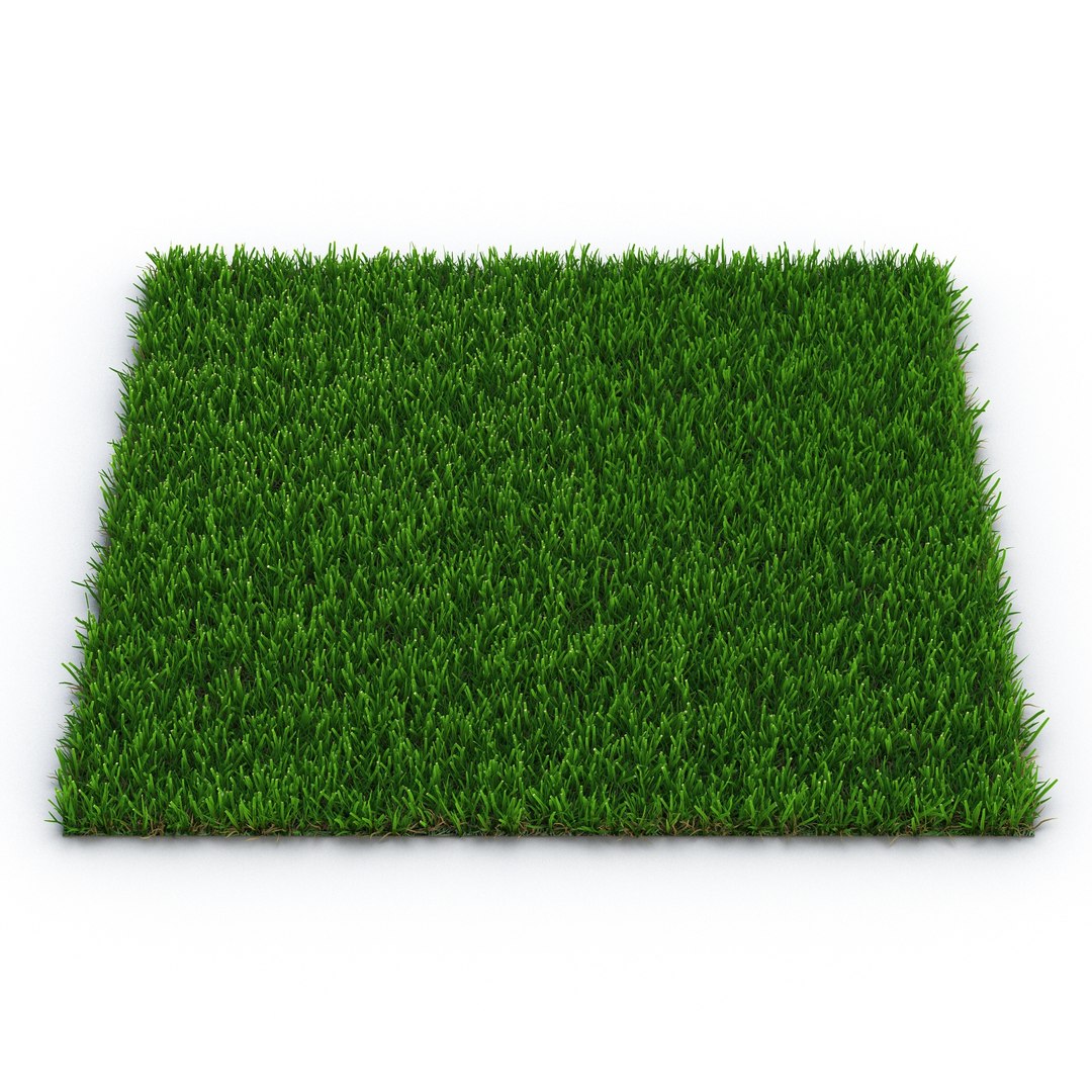 Zoysia Grass 3D model preview