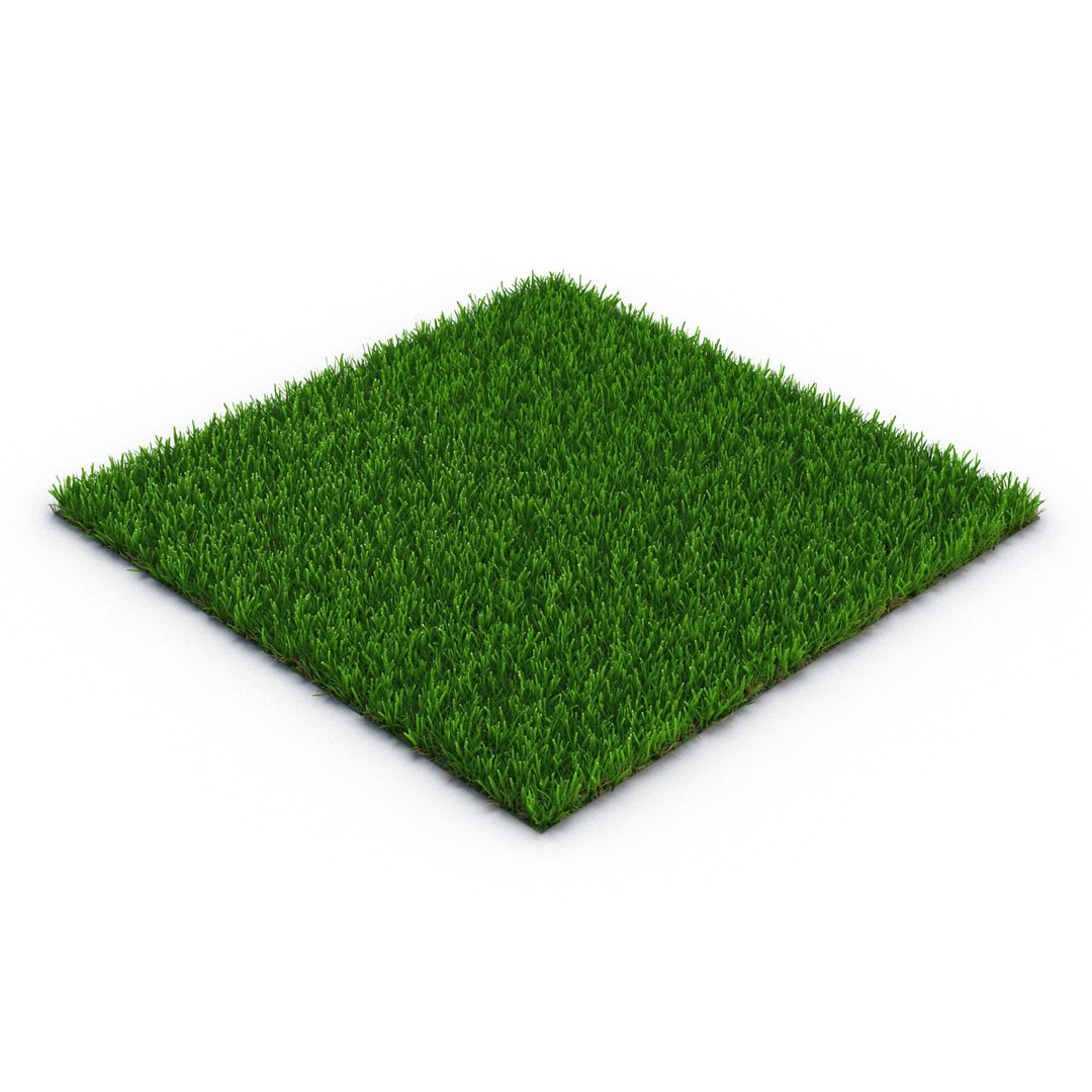 Zoysia Grass 3d Model