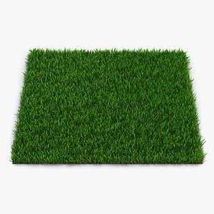 zoysia grass 3d model