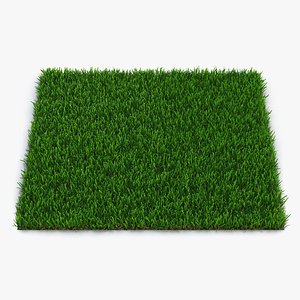 Zoysia Grass