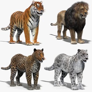 big cats fur 3D model