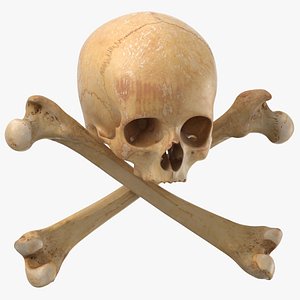 3D model pirate skull bones composition