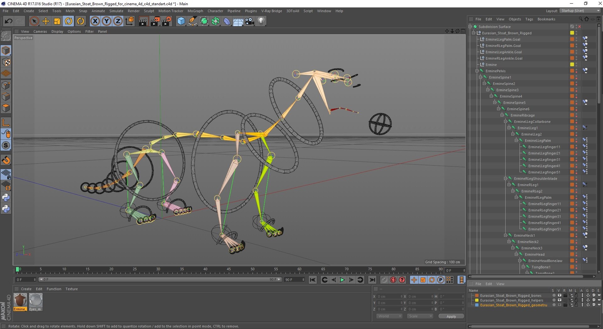 Eurasian Stoat Brown Rigged for Cinema 4D 3D model https://p.turbosquid.com/ts-thumb/rQ/2S9K4f/JJ/eurasianstoatbrownriggedforcinema4dc4dmodel048/jpg/1721008894/1920x1080/fit_q87/95ea10757eb0c9e626f2caaa42ad16432beff99f/eurasianstoatbrownriggedforcinema4dc4dmodel048.jpg