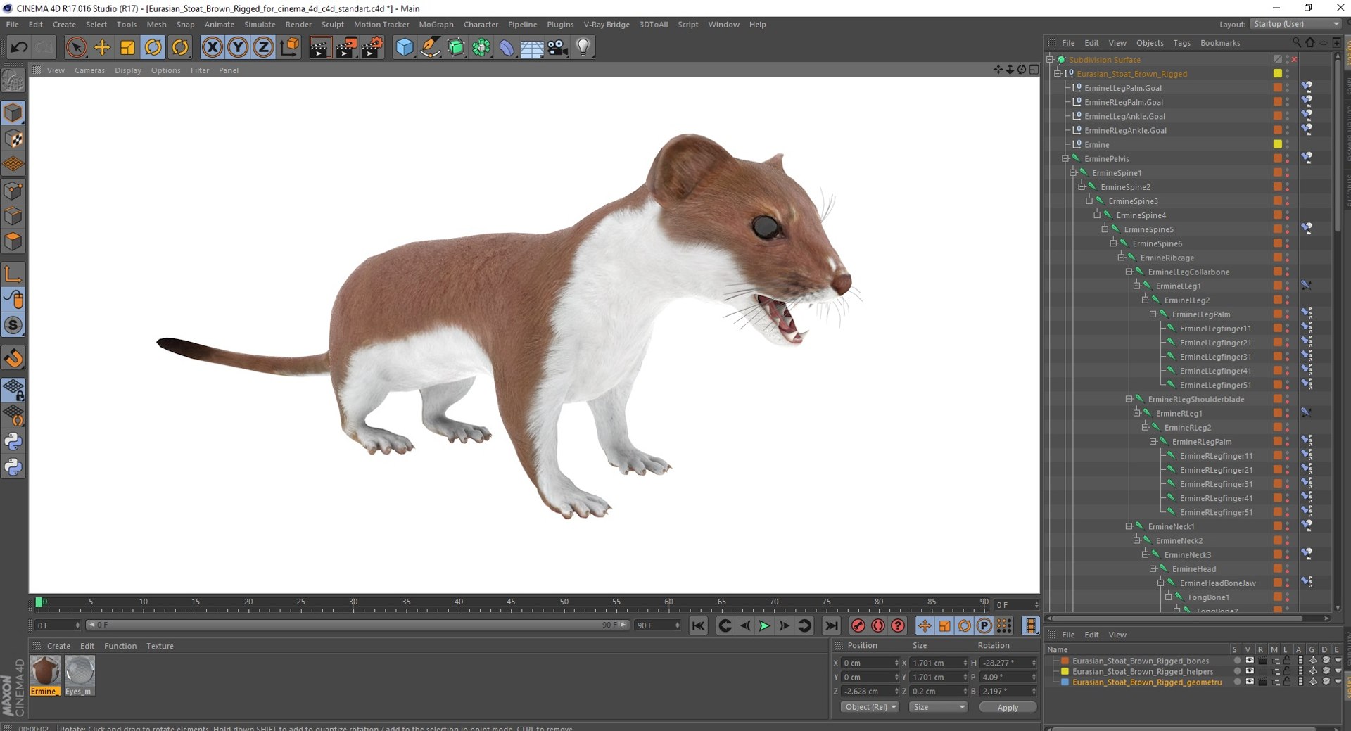 Eurasian Stoat Brown Rigged for Cinema 4D 3D model https://p.turbosquid.com/ts-thumb/rQ/2S9K4f/KZ/eurasianstoatbrownriggedforcinema4dc4dmodel049/jpg/1721008897/1920x1080/fit_q87/ede88adb3e9c306456e07cc52beeb3ed8c7829d0/eurasianstoatbrownriggedforcinema4dc4dmodel049.jpg