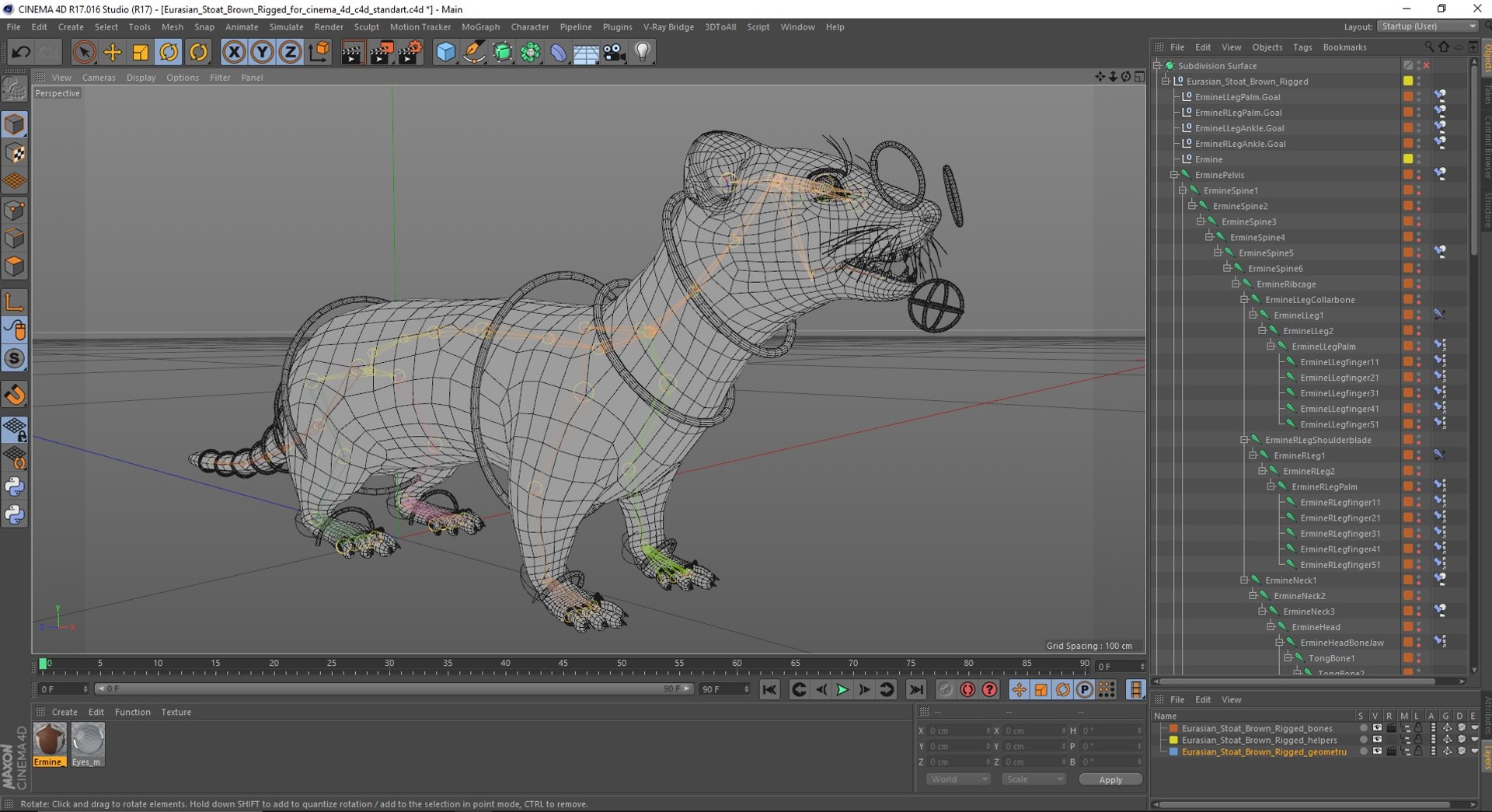 Eurasian Stoat Brown Rigged for Cinema 4D 3D model https://p.turbosquid.com/ts-thumb/rQ/2S9K4f/Mb/eurasianstoatbrownriggedforcinema4dc4dmodel047/jpg/1721008891/1920x1080/fit_q87/ba8407dfd265c909e747d988b522db493f61f995/eurasianstoatbrownriggedforcinema4dc4dmodel047.jpg