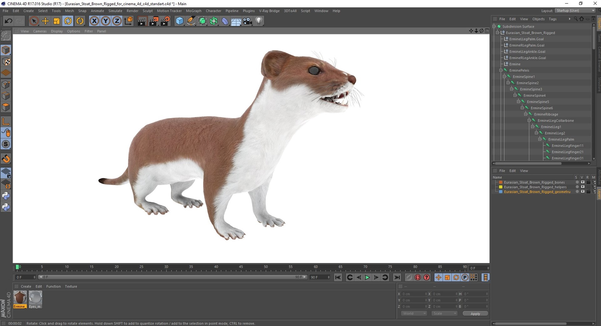 Eurasian Stoat Brown Rigged for Cinema 4D 3D model https://p.turbosquid.com/ts-thumb/rQ/2S9K4f/cJ/eurasianstoatbrownriggedforcinema4dc4dmodel046/jpg/1721008888/1920x1080/fit_q87/dd5c6028266d61f45f34c8a51a59e02bb14f36b1/eurasianstoatbrownriggedforcinema4dc4dmodel046.jpg