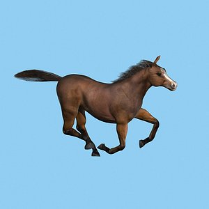 horse