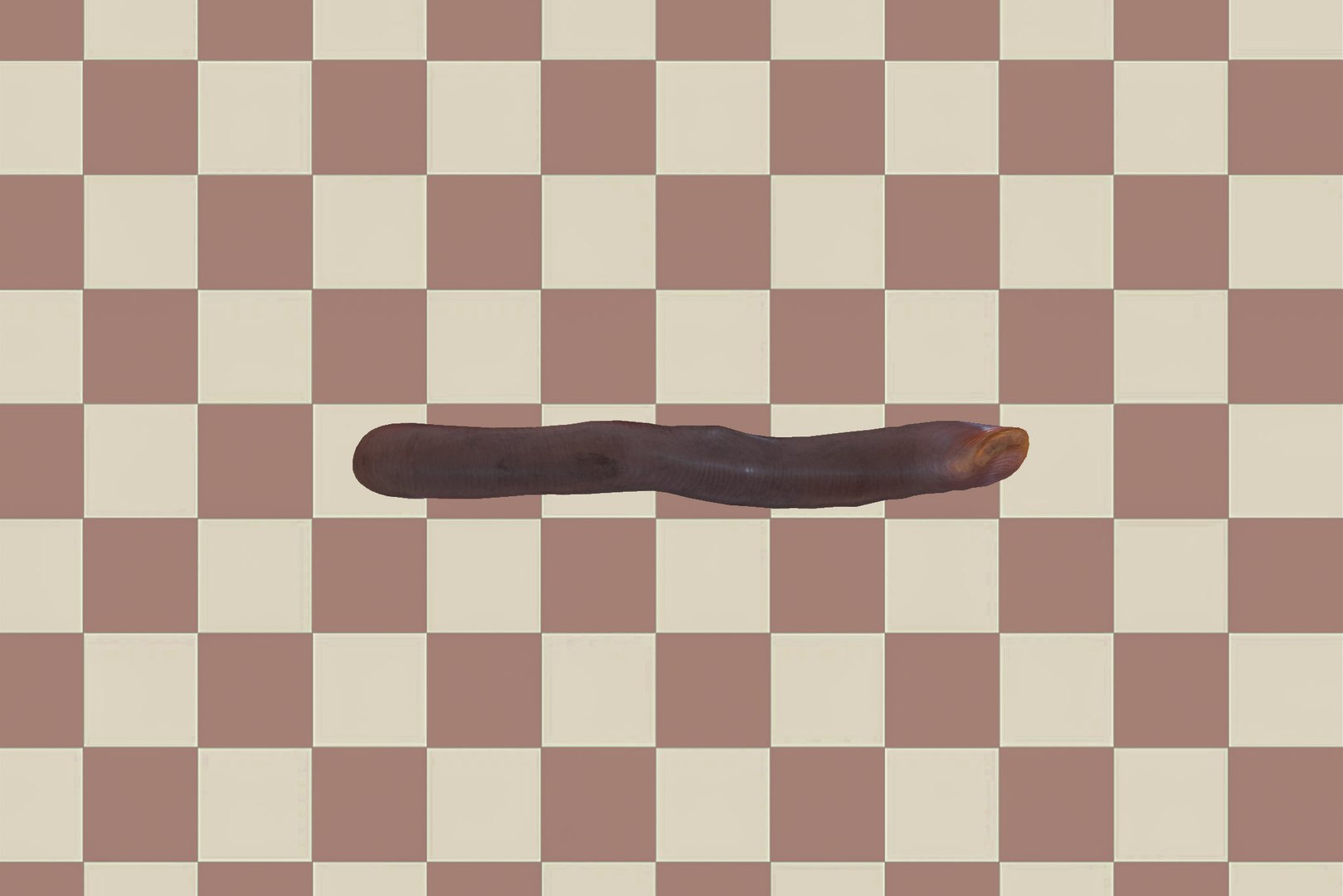 Earthworm Model - TurboSquid 2385465