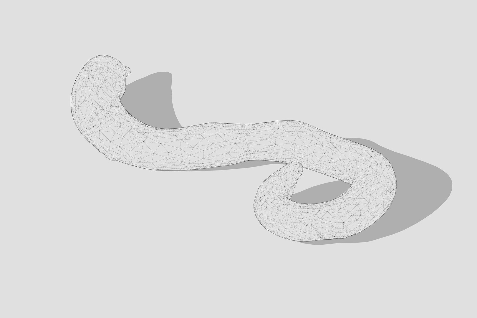 Earthworm Model - TurboSquid 2385465
