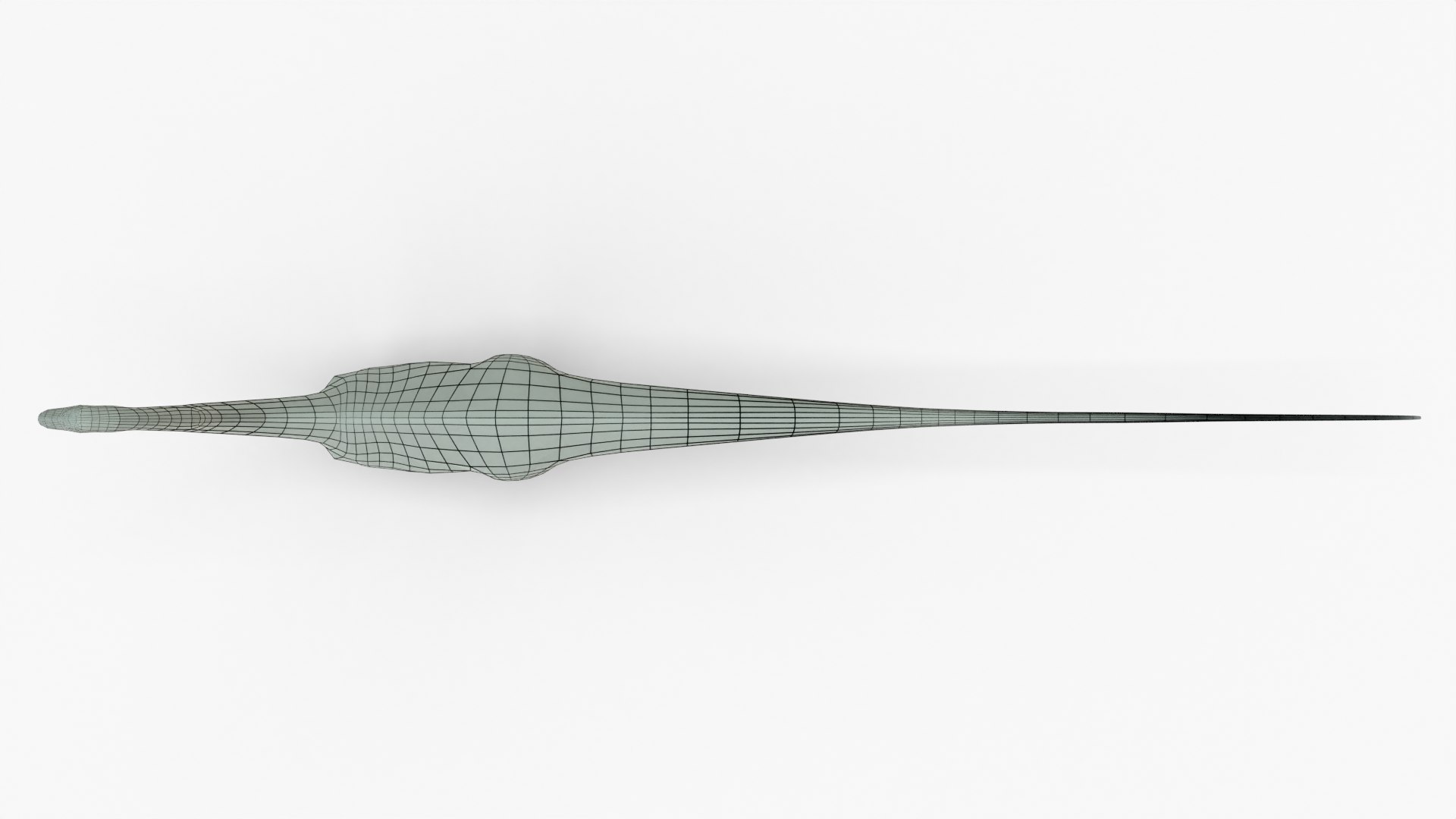 Diplodocus Rigged Basemesh 3D model - TurboSquid 2134183