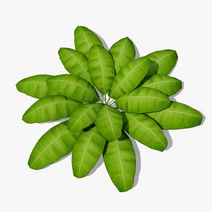3D model Stylized Cartoon Fern v2