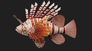 Lionfish 3D model