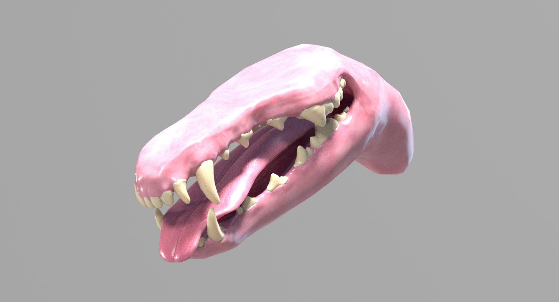3D dogs rigged model https://p.turbosquid.com/ts-thumb/rQ/mnDqUz/GW/greyhound_add_08/png/1608045923/1920x1080/fit_q87/2656e197cbbb9934ff765bc653f07e57fc6e19ad/greyhound_add_08.jpg
