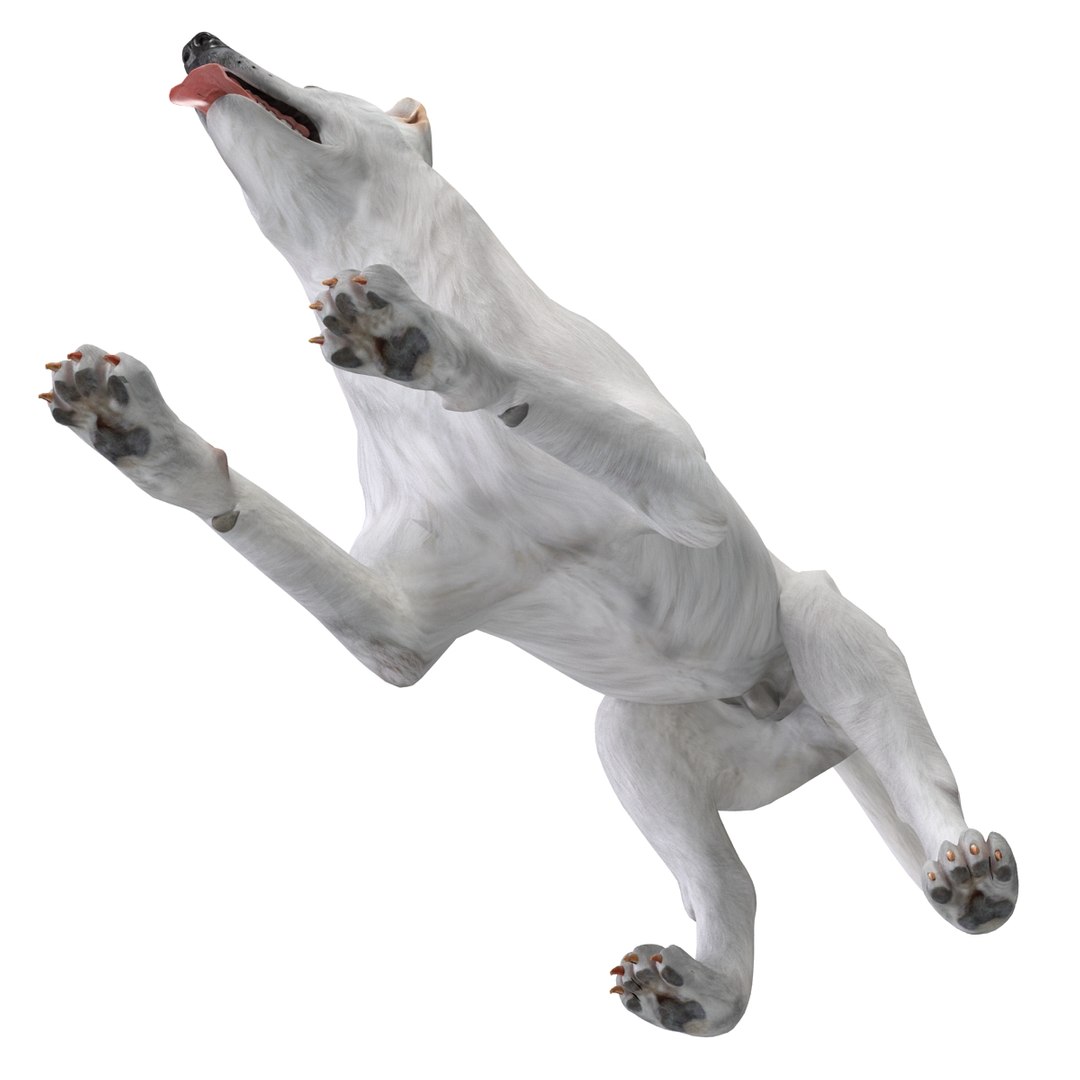 dsmax white shepherd dog pose https://p.turbosquid.com/ts-thumb/rQ/wizRI3/8NXIGw7T/whiteshepherddogpose3_9/jpg/1422282603/1920x1080/fit_q87/015f6e4b65a99657de5de548ec5392c9a1c904c7/whiteshepherddogpose3_9.jpg