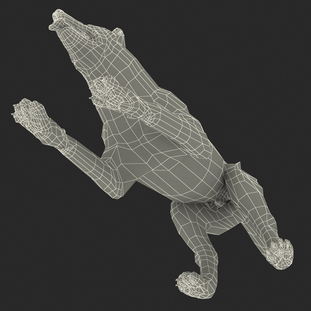dsmax white shepherd dog pose https://p.turbosquid.com/ts-thumb/rQ/wizRI3/AT8zo1xw/whiteshepherddogpose3_16/jpg/1422282614/1920x1080/fit_q87/8e71531a47ee593352c3986bf8c852b854a02716/whiteshepherddogpose3_16.jpg