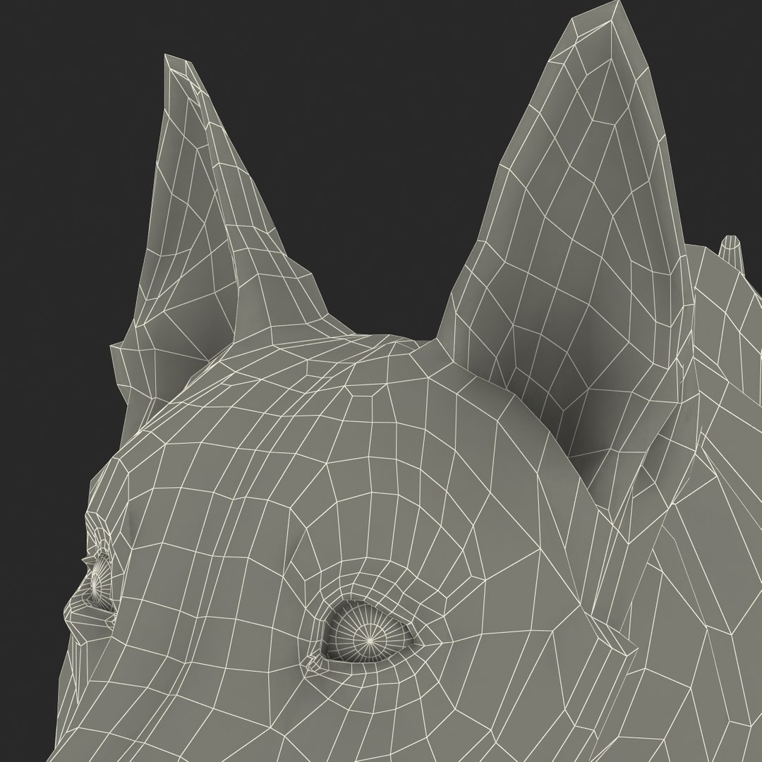 dsmax white shepherd dog pose https://p.turbosquid.com/ts-thumb/rQ/wizRI3/jkPwyFDp/whiteshepherddogpose3_21/jpg/1422282624/1920x1080/fit_q87/15c59339dc7b951a62cc8683b244c1718e53e060/whiteshepherddogpose3_21.jpg