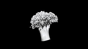 3D model broccoli  cut 3D CT scan model 6 decimate 30percent