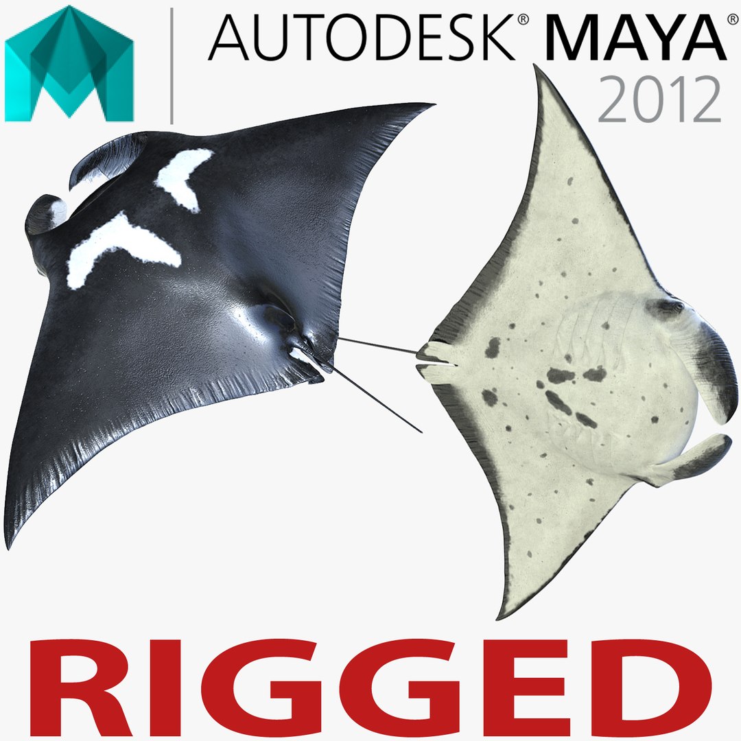 Manta Ray Rigged for Maya 3D model preview