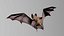 bat cloth wings 3D model