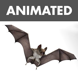 bat cloth wings 3D model