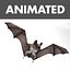 bat cloth wings 3D model