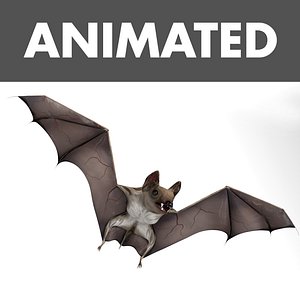 Bat