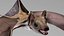 bat cloth wings 3D model