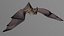 bat cloth wings 3D model