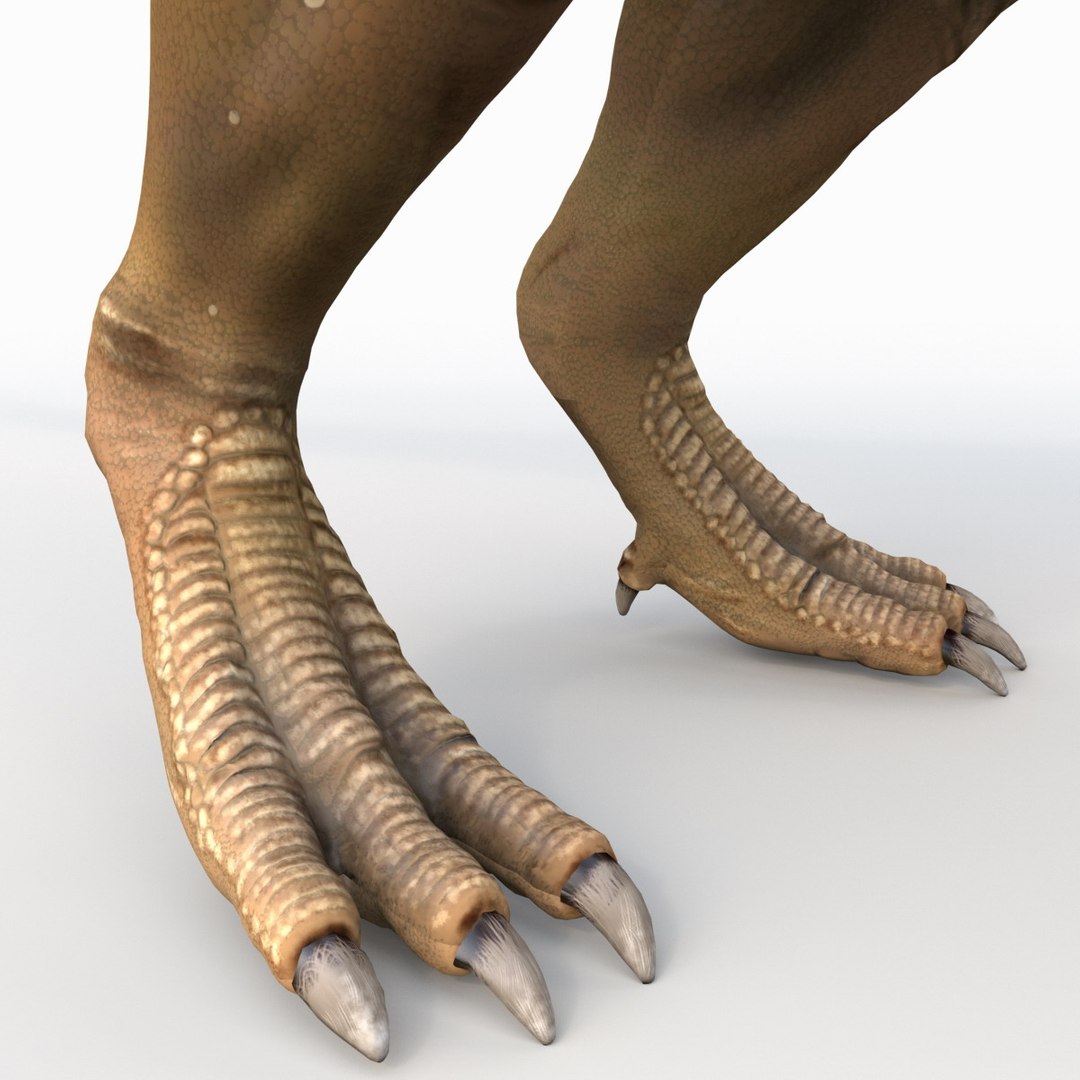 tarbosaurus dinosaur 3d max https://p.turbosquid.com/ts-thumb/rR/LLgyW3/4BLKHvNv/tarbosaurus_19/jpg/1383273587/1920x1080/fit_q87/2146943ab39558e3d9b81492b28ccb2b8a960dd4/tarbosaurus_19.jpg