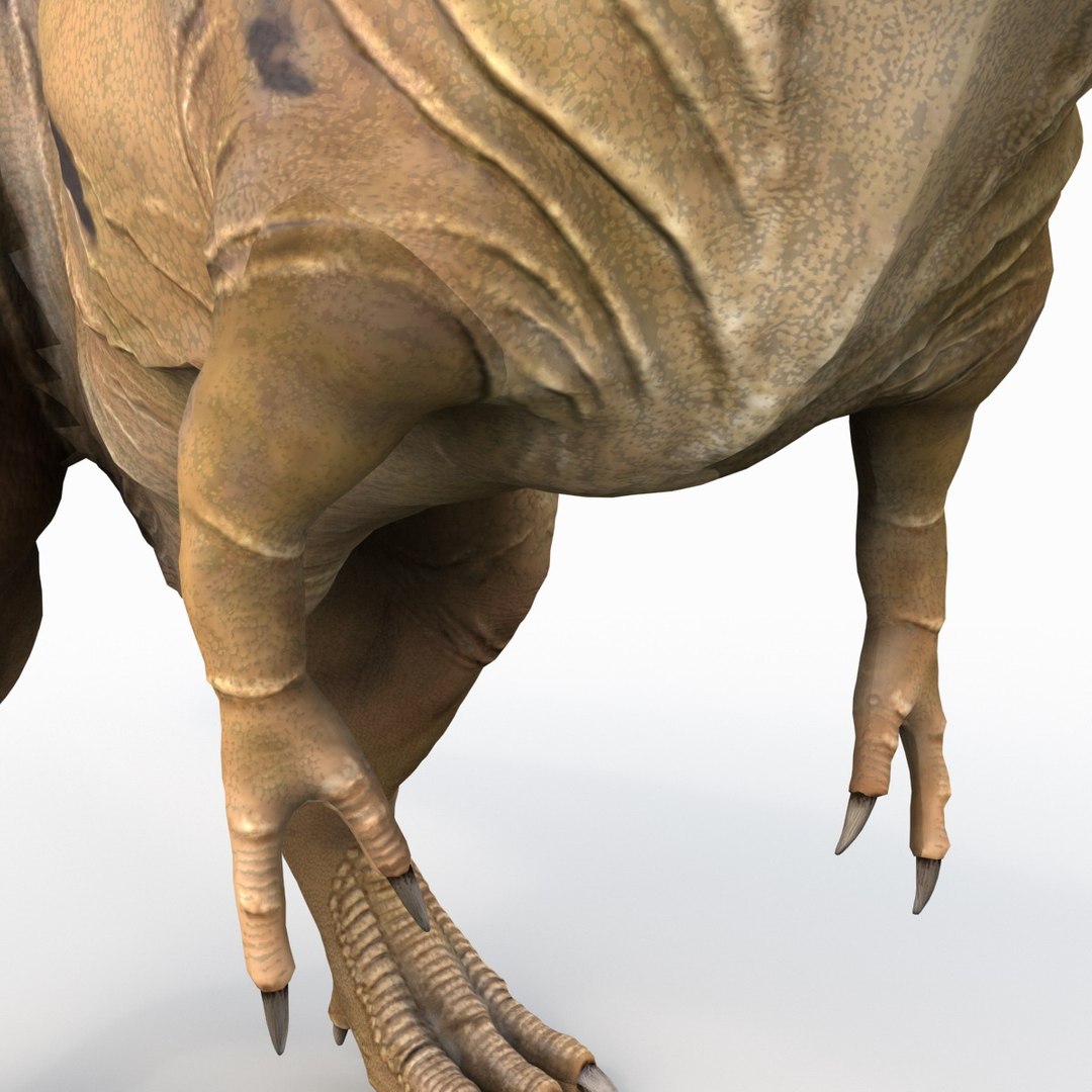 tarbosaurus dinosaur 3d max https://p.turbosquid.com/ts-thumb/rR/LLgyW3/91OiKHQc/tarbosaurus_15/jpg/1383273574/1920x1080/fit_q87/3bf7ceb4ed92f15f86ca9f159a4fb4acd79cf0c3/tarbosaurus_15.jpg