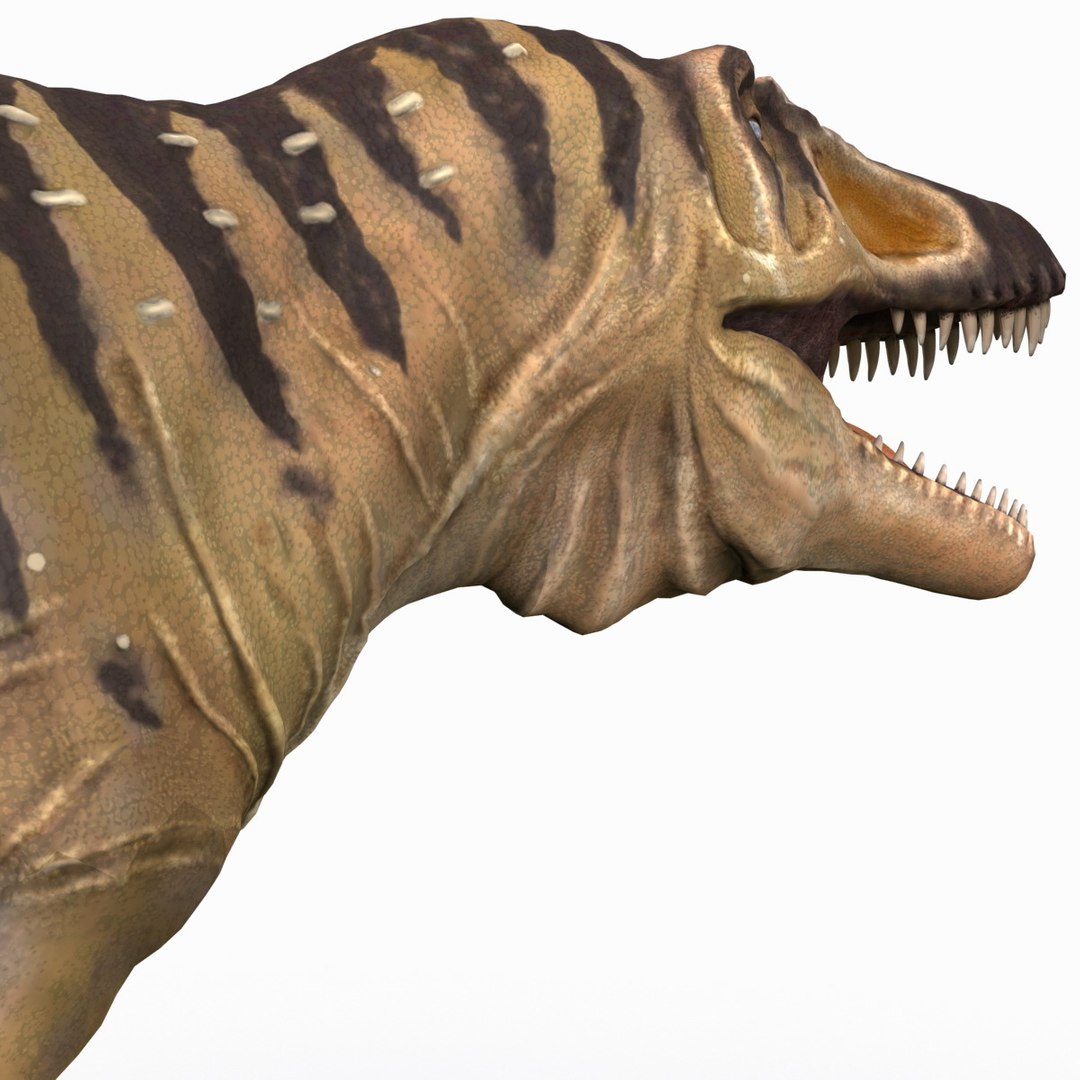 tarbosaurus dinosaur 3d max https://p.turbosquid.com/ts-thumb/rR/LLgyW3/AHCVbNBd/tarbosaurus_20/jpg/1383273590/1920x1080/fit_q87/28b5f1c5b4146ea5f6f1788521b1eca83eb6d586/tarbosaurus_20.jpg
