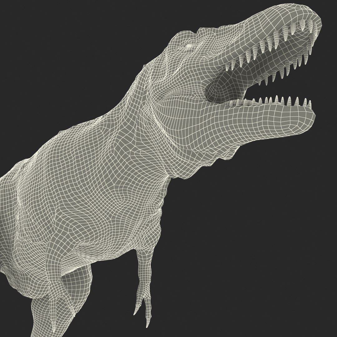 tarbosaurus dinosaur 3d max https://p.turbosquid.com/ts-thumb/rR/LLgyW3/G6r9jaeb/tarbosaurus_34/jpg/1383273640/1920x1080/fit_q87/b923ce24abc5913ac39d913a25c1ed866d4ea398/tarbosaurus_34.jpg