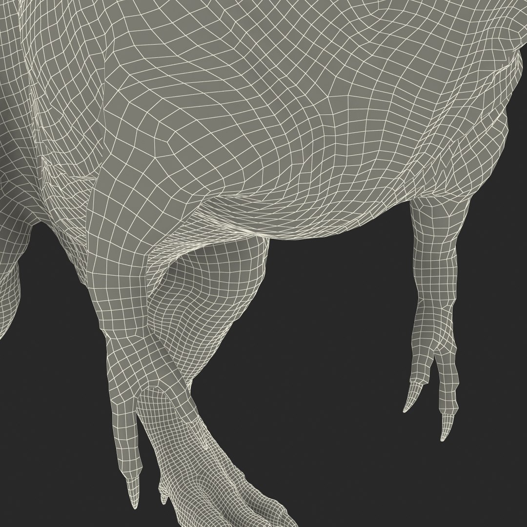 tarbosaurus dinosaur 3d max https://p.turbosquid.com/ts-thumb/rR/LLgyW3/MQQNkEsD/tarbosaurus_28/jpg/1383273617/1920x1080/fit_q87/46936e77c28cdf79252e4bfffb3be2a8b5c84fb7/tarbosaurus_28.jpg