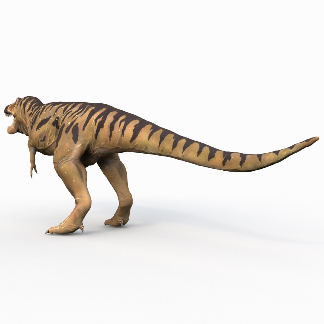 tarbosaurus dinosaur 3d max https://p.turbosquid.com/ts-thumb/rR/LLgyW3/Mi2Temi0/tarbosaurus_12/jpg/1383273564/1920x1080/fit_q87/561b45672432c7a0a0c1f9300c48d533514b200e/tarbosaurus_12.jpg