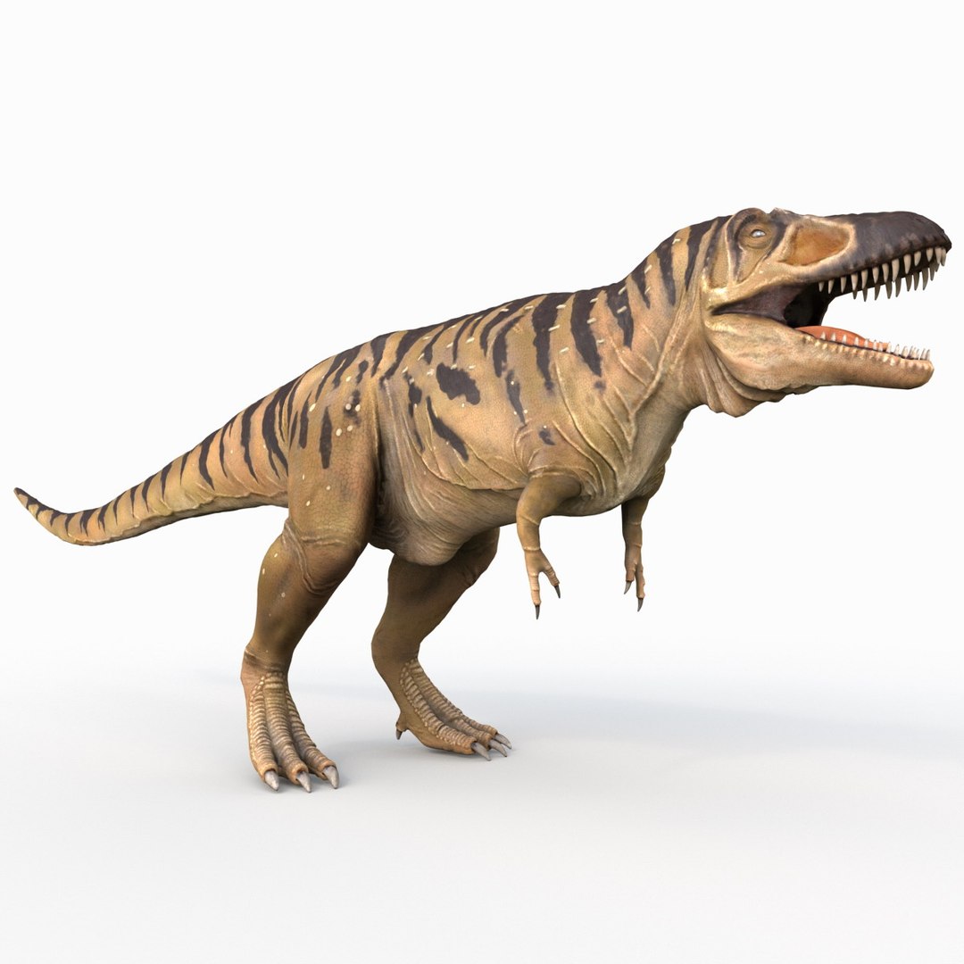 tarbosaurus dinosaur 3d max https://p.turbosquid.com/ts-thumb/rR/LLgyW3/NqBkF6n9/tarbosaurus_9/jpg/1383273553/1920x1080/fit_q87/3f8c450c9ab13b55e317f9293c7343b19f12b17c/tarbosaurus_9.jpg