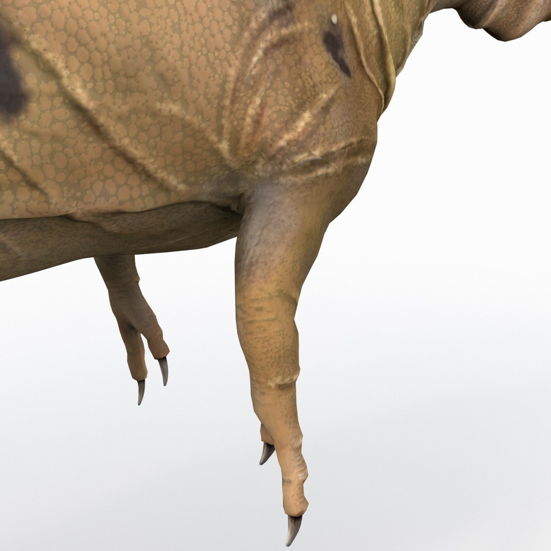 tarbosaurus dinosaur 3d max https://p.turbosquid.com/ts-thumb/rR/LLgyW3/OeM96c22/tarbosaurus_18/jpg/1383273584/1920x1080/fit_q87/f57eec85e6f4555e8c2da5da3b5daa72a05aabfa/tarbosaurus_18.jpg