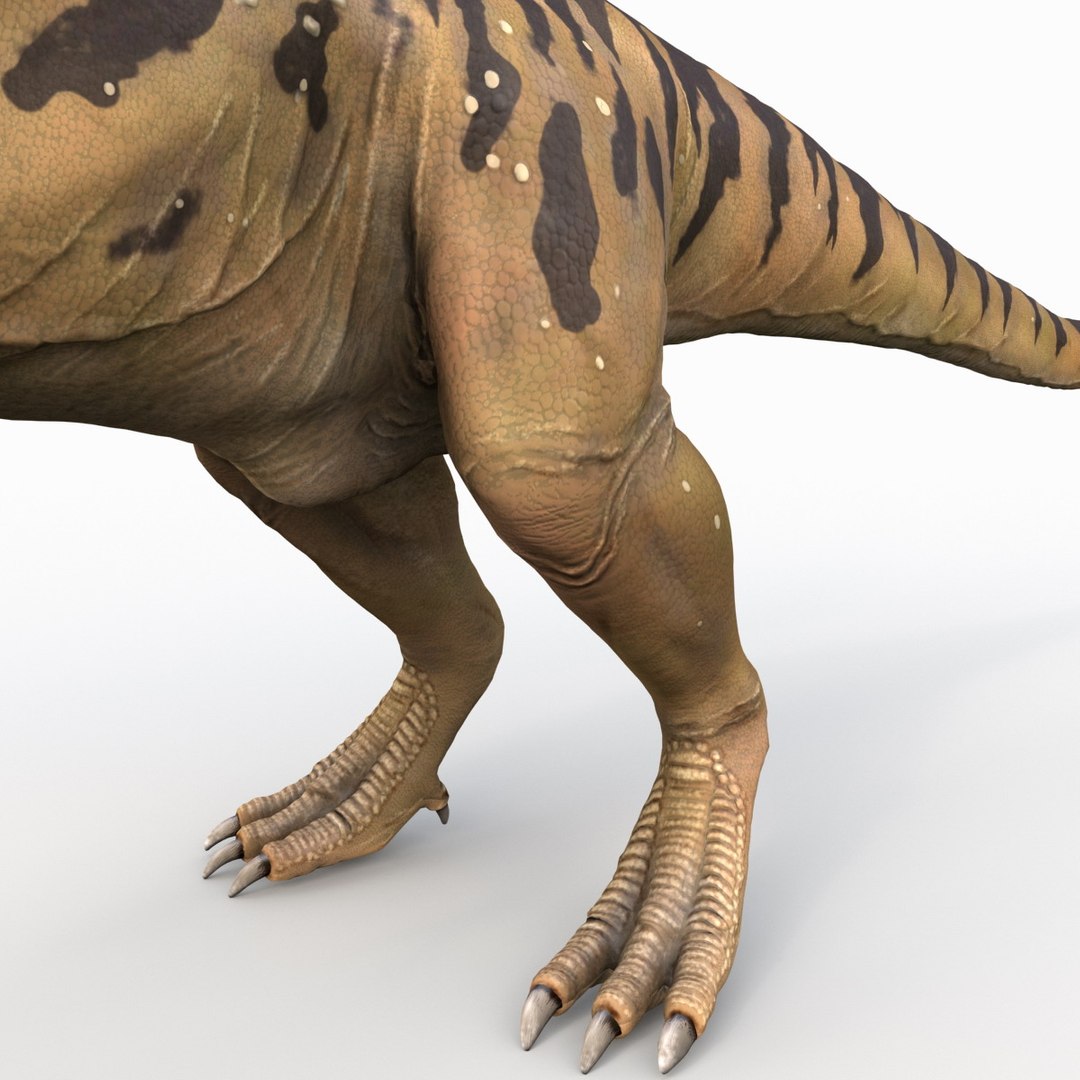 tarbosaurus dinosaur 3d max https://p.turbosquid.com/ts-thumb/rR/LLgyW3/SaSjbRA8/tarbosaurus_16/jpg/1383273577/1920x1080/fit_q87/fcfb1f8d9ac993a29ca11ecd83312f6743d880e8/tarbosaurus_16.jpg