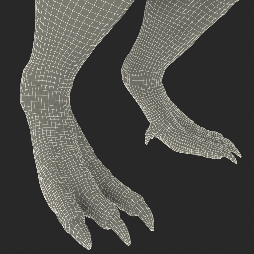 tarbosaurus dinosaur 3d max https://p.turbosquid.com/ts-thumb/rR/LLgyW3/UmhOzROk/tarbosaurus_32/jpg/1383273633/1920x1080/fit_q87/25352f282d9827c94324503a838ac7cf14fea405/tarbosaurus_32.jpg