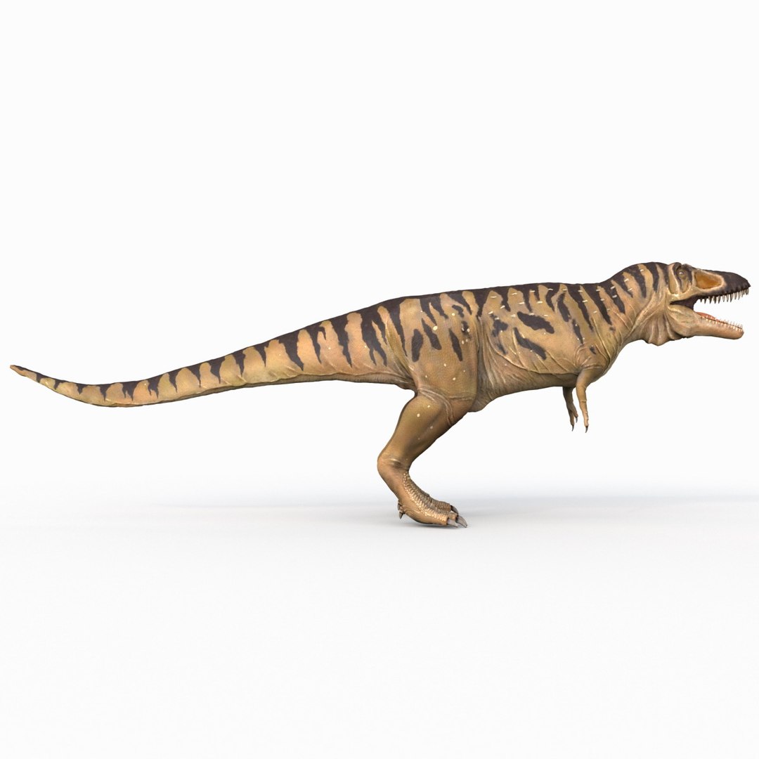 tarbosaurus dinosaur 3d max https://p.turbosquid.com/ts-thumb/rR/LLgyW3/VJXBnixE/tarbosaurus_10/jpg/1383273567/1920x1080/fit_q87/8a16029fdddad54c5b63f36663290e74ae5382fa/tarbosaurus_10.jpg