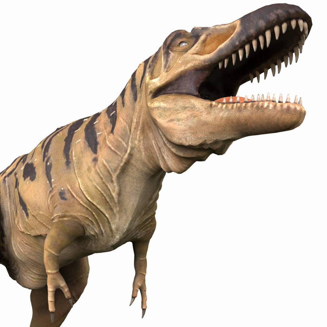 tarbosaurus dinosaur 3d max https://p.turbosquid.com/ts-thumb/rR/LLgyW3/bwcArNOL/tarbosaurus_21/jpg/1383273593/1920x1080/fit_q87/fff490f307240356f4ca0f5425d9aef9114ba389/tarbosaurus_21.jpg