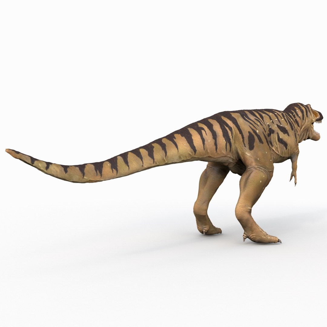tarbosaurus dinosaur 3d max https://p.turbosquid.com/ts-thumb/rR/LLgyW3/fDFUCkum/tarbosaurus_11/jpg/1383273560/1920x1080/fit_q87/3cb04efb4b3dc9bd5e944fc6856353fcd632db72/tarbosaurus_11.jpg