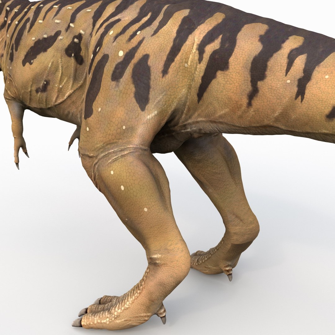 tarbosaurus dinosaur 3d max https://p.turbosquid.com/ts-thumb/rR/LLgyW3/oAYLt3Z8/tarbosaurus_17/jpg/1383273581/1920x1080/fit_q87/ebd06ec8db05f4ce667a7aee3a34446f0cbca048/tarbosaurus_17.jpg