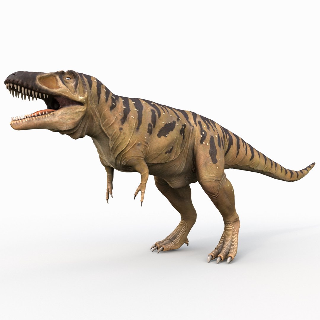 tarbosaurus dinosaur 3d max https://p.turbosquid.com/ts-thumb/rR/LLgyW3/pbnaYJPL/tarbosaurus_8/jpg/1383273549/1920x1080/fit_q87/4f0096e04e39f32e394b8d5ab3539a15ee15da0a/tarbosaurus_8.jpg