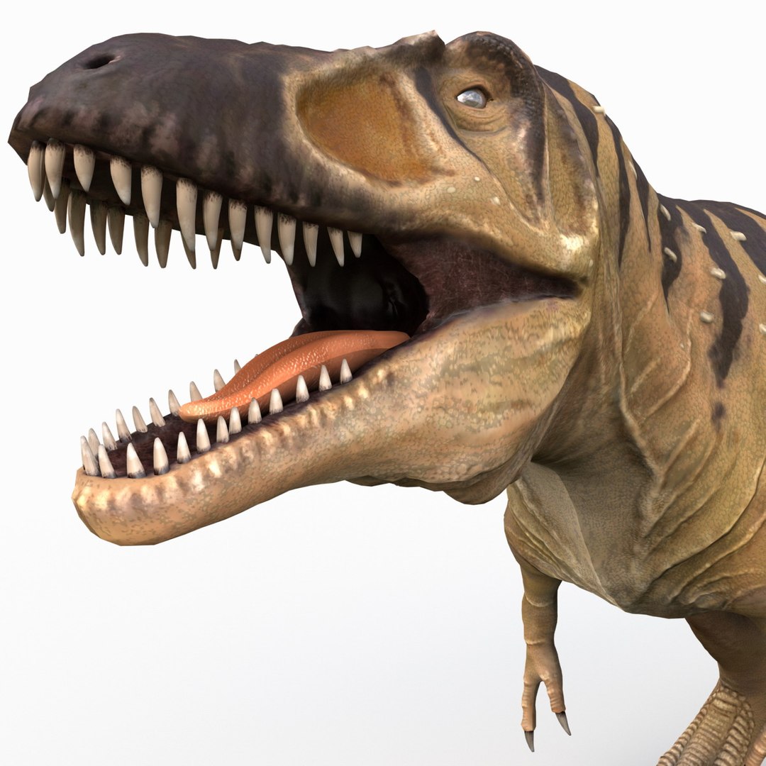 tarbosaurus dinosaur 3d max https://p.turbosquid.com/ts-thumb/rR/LLgyW3/swKgpNvI/tarbosaurus_14/jpg/1383273570/1920x1080/fit_q87/89b92cc3a05376c365e32cbd2817c68768c10dd5/tarbosaurus_14.jpg