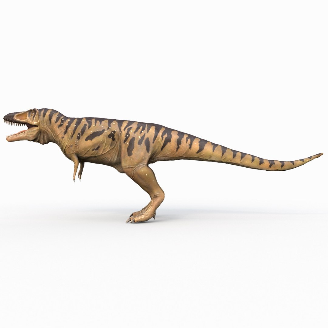 tarbosaurus dinosaur 3d max https://p.turbosquid.com/ts-thumb/rR/LLgyW3/u5hpVLvl/tarbosaurus_7/jpg/1383273546/1920x1080/fit_q87/03149c4b82a4e59f52317e0eef6a1ae455db7c5c/tarbosaurus_7.jpg