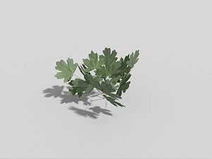 fern games 3d 3ds