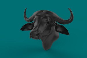 buffalo bust model