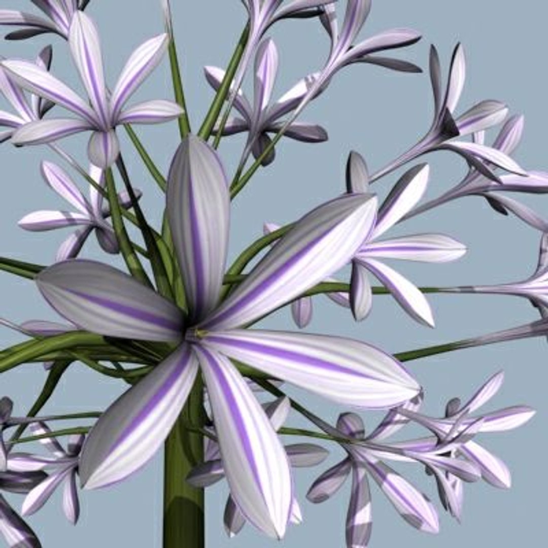 Realistic Flower Animation Open 3d 3ds